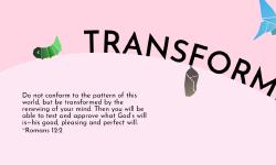 Featured image of post Transformed