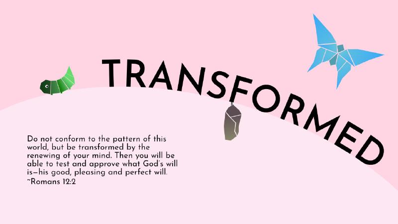 Featured image of post Transformed